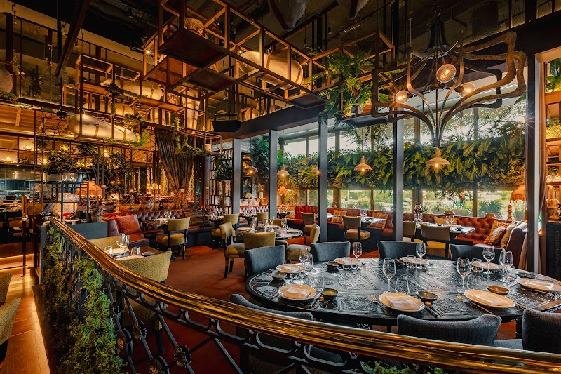 Coya Dubai