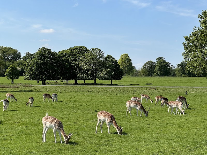 Richmond Park